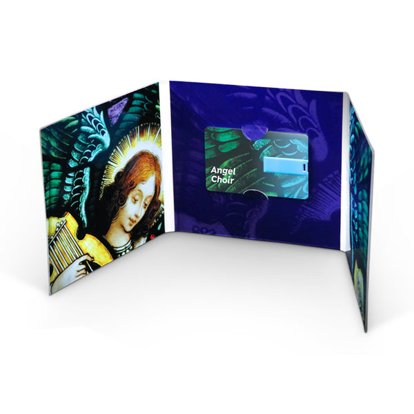 REP6U1 - 6 panel USB gatefold – Replicat - Vinyl Pressing - CD & DVD ...
